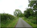 Wood Lane, Marchamley Wood