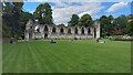 York - ruins in the Museum Gardens