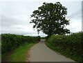 Minor road towards Ightfield