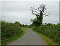 Lodmore Lane towards the A525