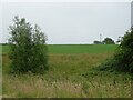 Farmland, Lightwood Green