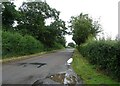 Coole Lane heading north towards Nantwich