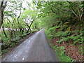 Minor road beside River Shiel