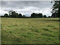 Pasture, Upper Harthall