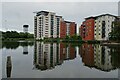 Tower blocks beside Bute East Dock