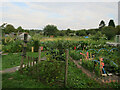 Burnside Allotments