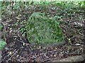 Stone, Brownsover Arm, Oxford Canal