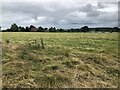 Pasture off Wyson Lane