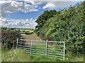 Countryside south of Dorking