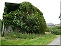 Overgrown barn at Erwhelm near Builth