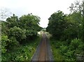 Railway towards Welshpool