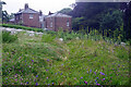 Ripon Workhouse - kitchen garden