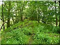 The former Lancashire and Yorkshire Railway, Meltham Branch, South Crosland