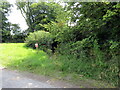 Cyffordd o Lwybrau / Junction of paths