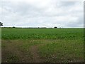 Crop field near Nox