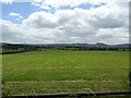 Cut silage field, Hollybank