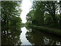 Macclesfield Canal at Middle Wood