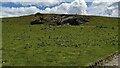 A small outcrop near the bridleway