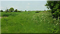 Farmland near Cranborne