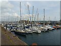 Milford Haven Dock