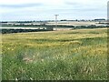 Lincolnshire Wolds landscape