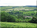 Rough pasture and woodland above Frosterley (2)