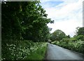 Country  road  approaching  Upsall