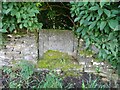 Stone Stile, Chadlington