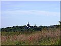 Looking across the heathland at Oxhill to Stanley