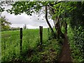 Path to Grey Green Lane at Catchems End