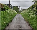 Lane to Lightmarsh Farmhouse