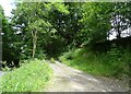 Track off the A470, Neuadd Fach