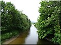 River Severn from Llandinam Bridge