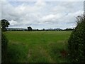 Grassland near Llandinam Hall