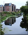 Reflections in the canal