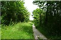 Path on Kemsing Down