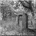 Old Church Kirkyard, Montrose