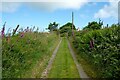 Track at Treffynon