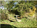 Footbridge on footpath Worton 417/7/20