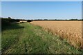 Footpath from Little Eversden