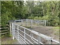 Livestock pens