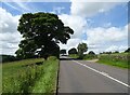 Macclesfield Road (A523)