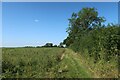 Footpath from Croydon