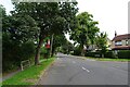 Road passing Scholes School