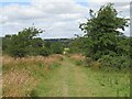 Path towards Thorpe under Stone