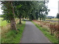 Riverside path, Kingholm Park