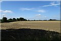 Fields beside Catterton Lane