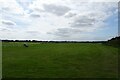 Northern edge of Wetherby Racecourse