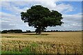 Farmland south of a bridleway