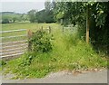 Footpath near Rimington Hall